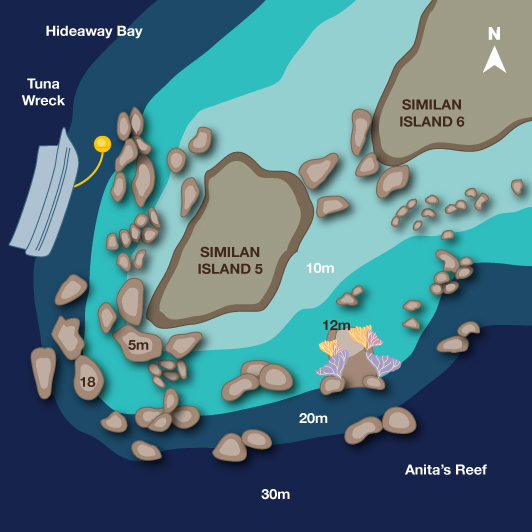 anita's reef anita's reef