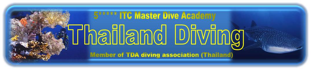 thailand diving thailand diving