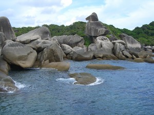donald duck bay