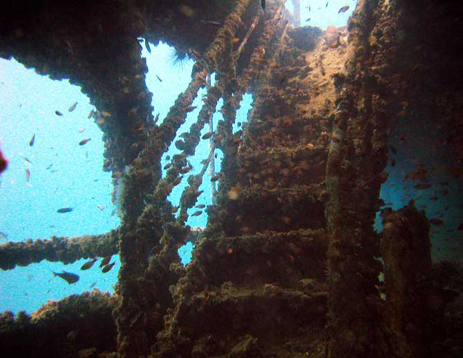 king cruise staircase king cruise staircase