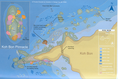 Koh bon Koh bon